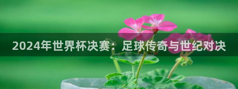 世界杯视频:2024年世界杯决赛:足球传奇与世纪对决