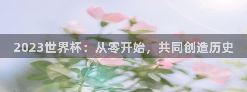 足球杯：2023世界杯：从零开始，共同创造历史