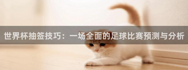 2026世界杯中国队:世界杯抽签技巧:一场全面的足球比赛预测与分析