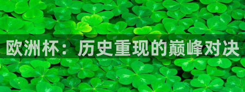 看世界杯：欧洲杯：历史重现的巅峰对决