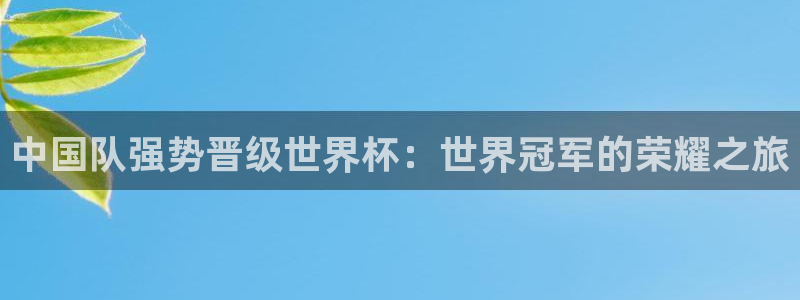 2026世界杯赛程表完整版：中国队强势晋级世界杯：世界冠军的荣耀之旅
