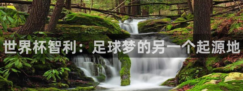 2026年世界杯赛程：世界杯智利：足球梦的另一个起源地