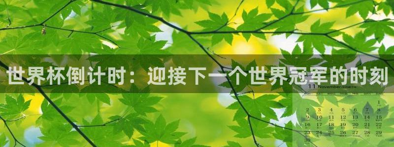 足球世界杯预选赛：世界杯倒计时：迎接下一个世界冠军的时刻