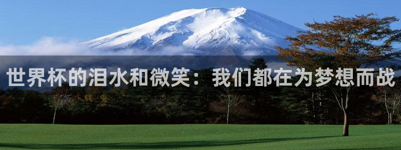 2026世界杯直播：世界杯的泪水和微笑：我们都在为梦想而战