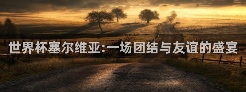 世界杯比赛直播：世界杯塞尔维亚:一场团结与友谊的盛宴