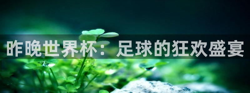 2026世界杯官网入口：昨晚世界杯：足球的狂欢盛宴