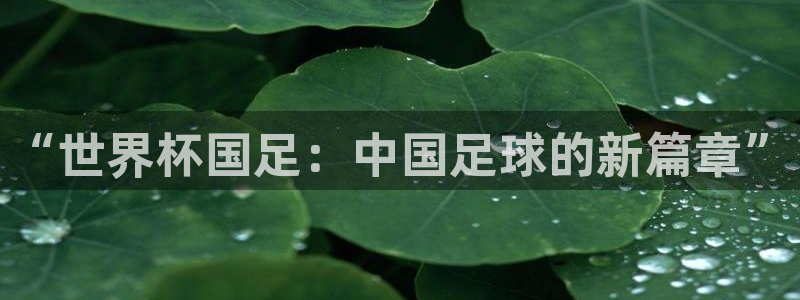 世界杯直播免费观看：“世界杯国足：中国足球的新篇章”