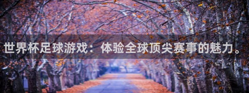 世界杯2026赛程表：世界杯足球游戏：体验全球顶尖赛事的魅力。