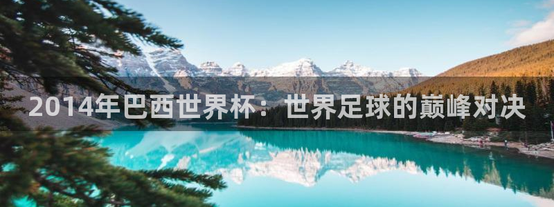 世界杯足球直播：2014年巴西世界杯：世界足球的巅峰对决